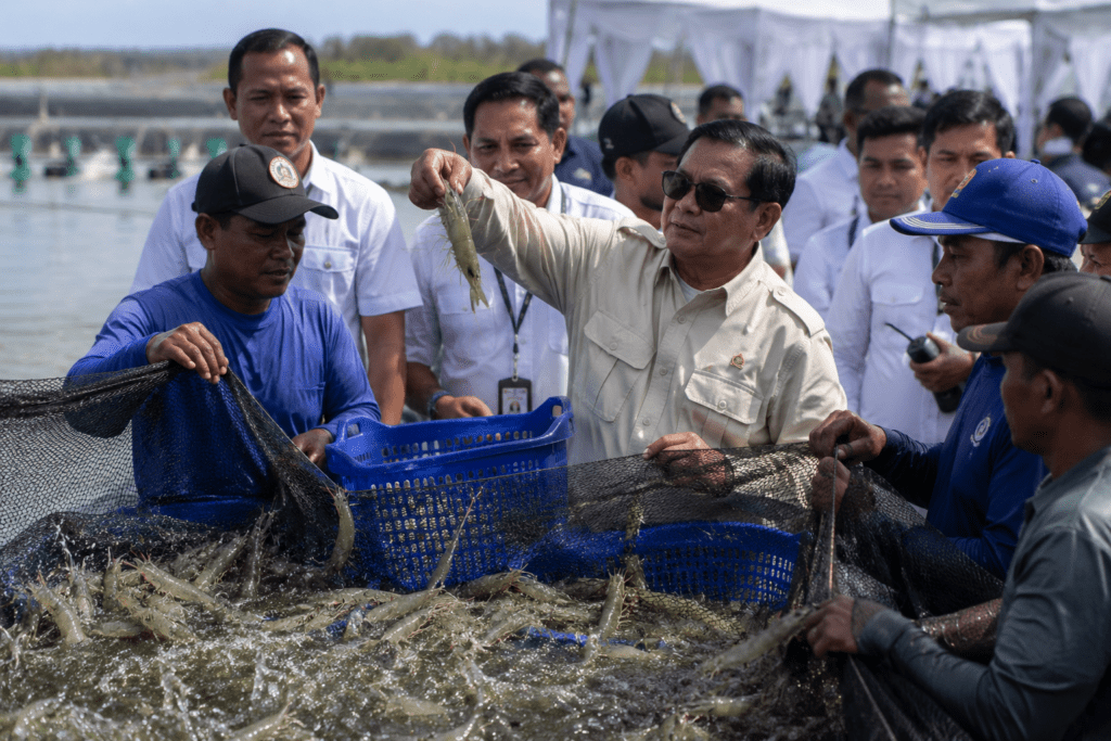Prabowo Panen Udang di Kebumen, Satu Hektare Hasilkan Rp2,8 Miliar