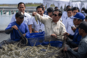 Prabowo Panen Udang di Kebumen, Satu Hektare Hasilkan Rp2,8 Miliar