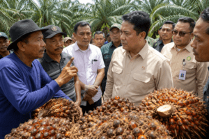 Petani Sawit Mengeluh Harga TBS Anjlok, Wamentan Janji Evaluasi Tata Niaga