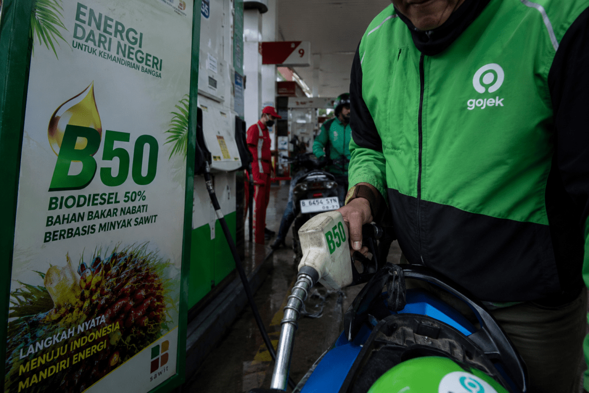 Mentan Amran Targetkan Indonesia Bebas Impor Solar dan Bensin Berbasis Sawit